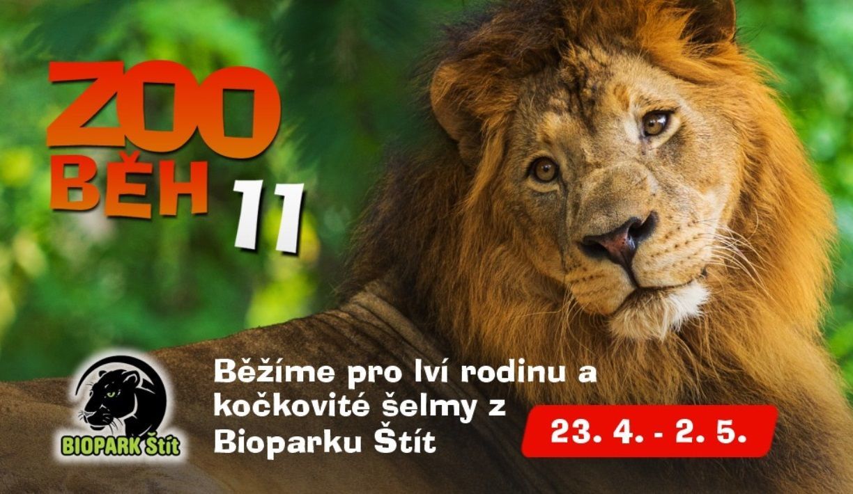 Běh