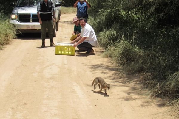 50788737-2293440034269513-5497626841176866816-nE45F12C9-7EC5-2FED-C0D2-0CBFC025CC94.jpg
