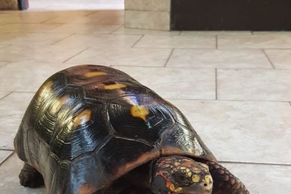 zelva-uhlirska7B4338FA-6326-3D48-8D92-FCBE0D0842C5.jpg